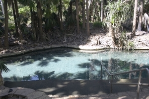 Mataranka Pool
