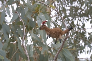 Wallaby auf Christbaum