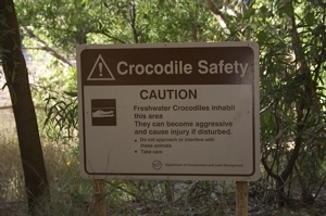 Krokodilschild