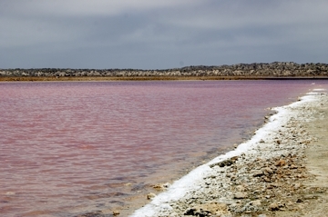 Pink Lake2